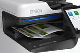Impresora Multifuncional Epson WorkForce Enterprise AM-C550 – Color / Alta Productividad (C11CJ92201)