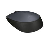 Ratón Inalámbrico Ambidextro Logitech M170 Negro